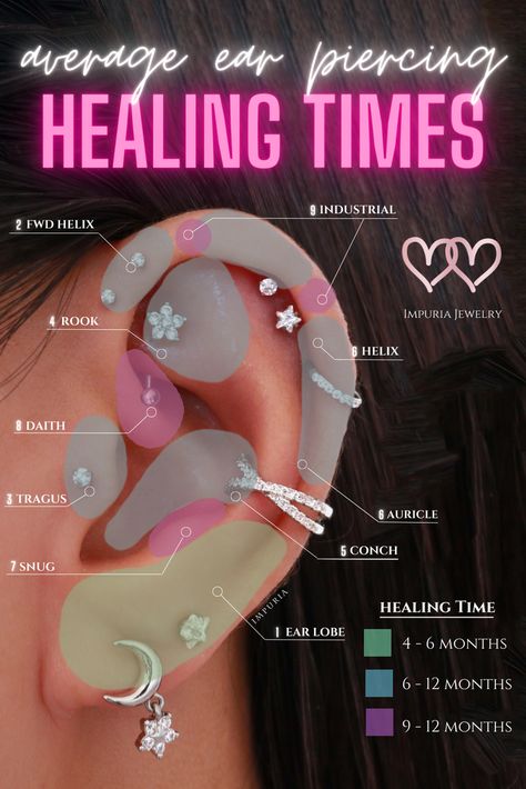 Ear Piercing Chart Pain, Ear Piercings Placement Chart, Least Painful Piercings, Piercing Healing, Different Ear Piercings, Unique Ear Piercings, Ear Piercings Chart, Piercing Chart, Double Ear Piercings