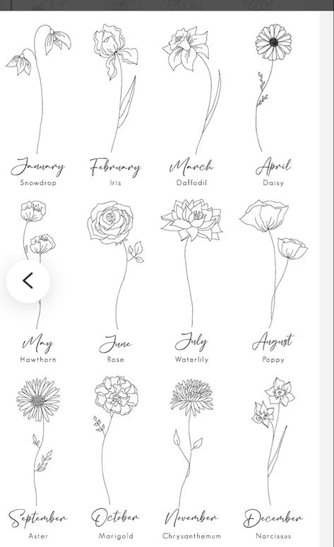 Outline Of Flowers Tattoo, Fine Line Flower Name Tattoo, Fine Line Aster Tattoo, Birth Flower Line Tattoo, Fine Line Mum Tattoo, Birth Flower By Month Tattoo, Fine Line Birth Month Flower Tattoo, Fine Line Tattoo Birth Flower, Fine Line Cosmos Flower Tattoo