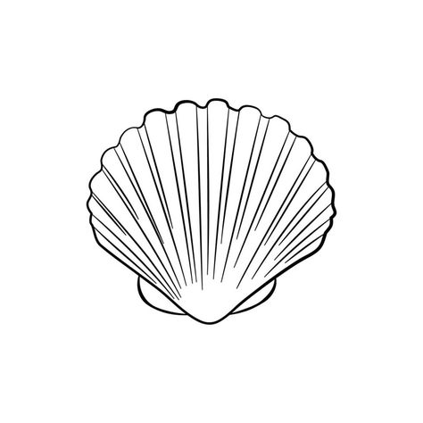 Shell Outline Tattoo, Seashell Outline, Nautical Coloring Pages, Nautical Sketches, Sea Shell Tattoo, Shell Images, Tattoo Stencil Ideas, Seashell Drawing, Coraline Tattoo