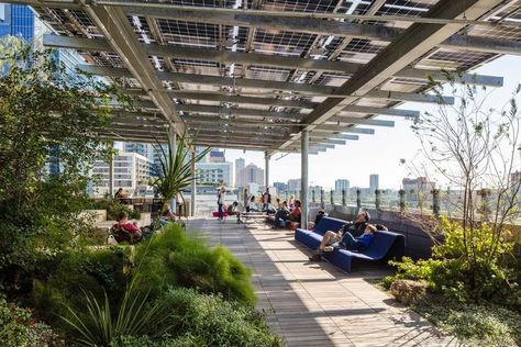 photo of the rooftop garden of Austin Texas' new Central Public Library with views of Austin from walkways and benches all partially shaded Event Space Rental, Butterfly Habitat, Lady Bird Lake, Events Place, Rooftop Design, Library Architecture, Live Oak Trees, Central Library, Rooftop Deck