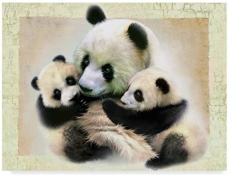 Panda Family, Panda Tattoo, Family Canvas, Panda Bears, Panda Art, Panda Love, Animal Pics, Beautiful Drawings, Cute Panda