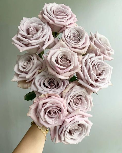 Lilac Colored Flowers, Moody Wedding Flowers, Mauve Roses, Floral Designs Arrangements, Rose Lavender, Rose Varieties, Lilac Roses, Flower Guide, Walk The Line