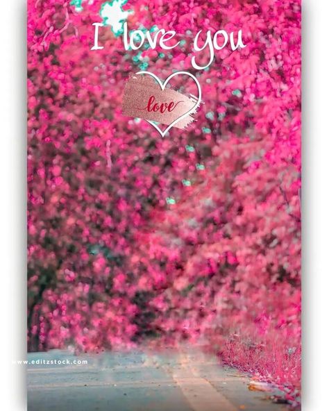 I love you cb editing background Love Photo Editing, Cb Editing Background, Flower Background Iphone, Photoshop Backgrounds Backdrops, Cb Editing, Lightroom Presets For Portraits, App Background, Black Background Photography, Pink Background Images