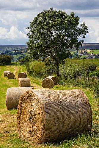 Nothing smells better than a nearby neighbor's bales of hay! Hay Bales, British Countryside, Country Scenes, Farms Living, Down On The Farm, Dirt Road, Old Barns, Country Farm, English Countryside