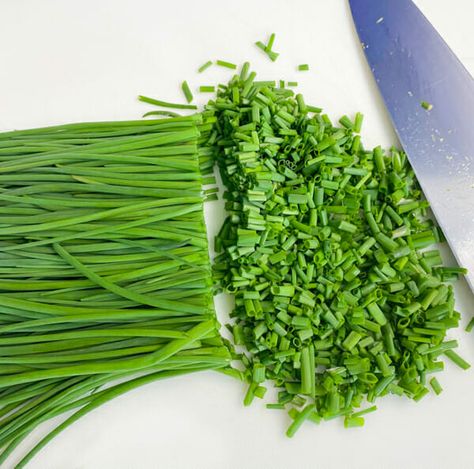 How to Cut and Preserve Chives - Freezing and Drying - GettyStewart.com How To Freeze Chives, What To Do With Excess Chives, Freezing Chives, Drying Chives, Easy Peel Hard Boiled Eggs, Hard Boiled Eggs Easy Peel, Onion Chips, Easy Peel Eggs, Chives Recipe