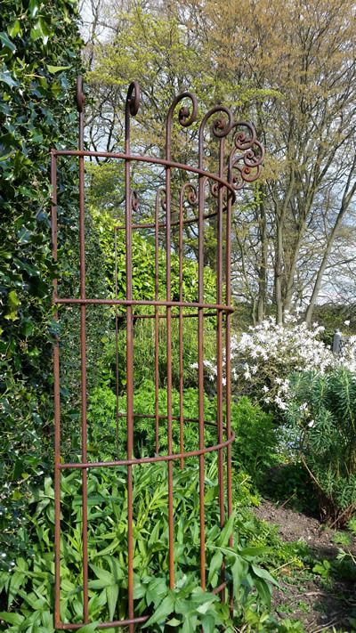 Leander Plant Supports Rose Support Ideas, Plant Supports Ideas, Garden Supports, Cinnamon Fern, Flower Support, Metal Garden Trellis, Garden Plant Supports, Large Hydrangea, Plant Ties