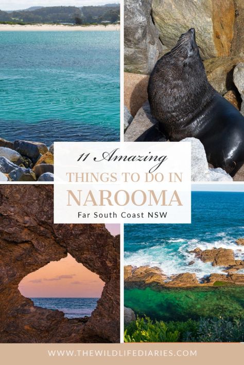 Australia Travel Bucket Lists, South Coast Nsw, Australia Road Trip, Weekend Camping, Australia Trip, Wales Travel, Australia Travel Guide, Oceania Travel, Australia Sydney