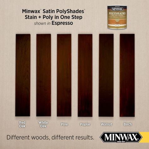 Minwax PolyShades Oil-Based Espresso Semi-Transparent Satin Interior Stain (1-Quart) in the Interior Stains department at Lowes.com Minwax Polyshades, Natural Bristle Brush, Minwax Stain, Oil Based Stain, Mineral Spirits, Half Pint, Container Size, Matte Satin, Stain Colors