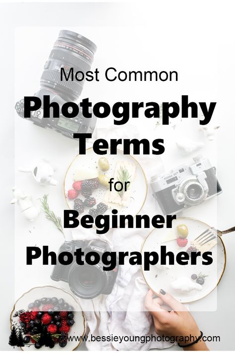 Learning digital photography can be super intimidating especially with all the terms! There are so many dang photography terms out there that it can be crazy overwhelming. Understanding the terms and lingo is crucial to be able to learn and grow your skills as a beginner photographer .So make sure to head on over to learn about all the common photography terms by clicking the image.  #photography #photographytips Beginner Photography Ideas, Photography Lingo, Ipad Photography, Beginning Photography, Beginner Photography Camera, Beginner Photographer, Photography Learning, Photography Terms, Photographer Tips