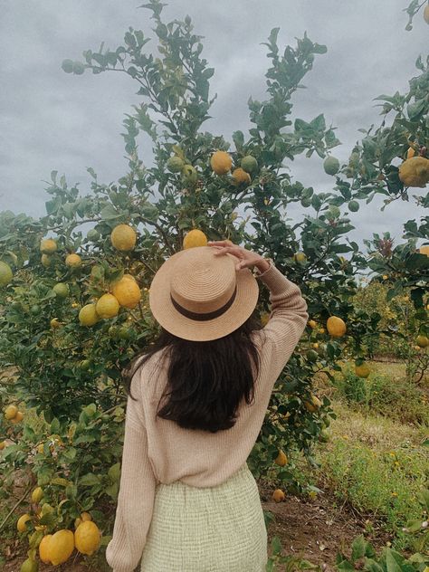 Fruit Picking Photoshoot, Picking Fruit, Fruit Orchard Aesthetic, Fruit Picking Aesthetic, Picking Fruit Aesthetic, Picking Lemons Aesthetic, Cute Apple Picking Photos, Objectification Of Women, Cherry Hill