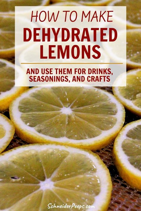 Uses For Dehydrated Lemons, Dehydrate Lemons In Dehydrator, Dehydrated Lemons In Dehydrator, Drying Lemons In Oven, Dehydrating Lemons In Dehydrator, Dehydrate Lemon Slices, Freeze Dried Lemons, Cosori Dehydrator Recipes, Dehydrate Lemons