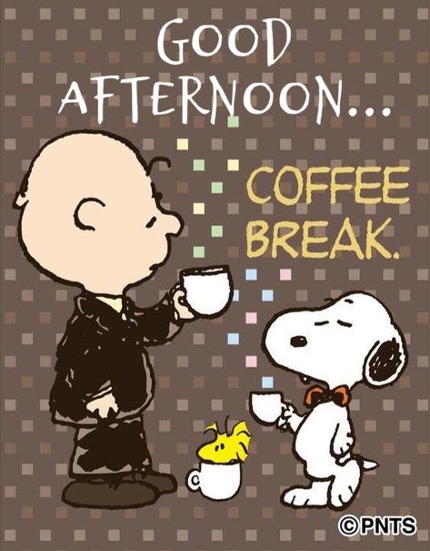 Good Afternoon Funny, Snoopy Birthday Quotes, Funny Snoopy, Good Afternoon Images, Snoopy Beagle, Afternoon Images, Captain Haddock, Sunday Morning Coffee, Good Morning Snoopy