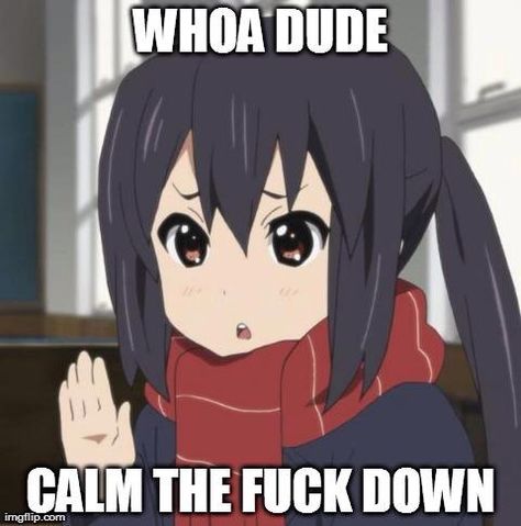 Calm the f down Anime Meme Face, Anime Mems, Dc Memes, Snapchat Funny, Anime Expressions, Shall We Date, Memes Anime, Anime Jokes, Anime Memes Funny