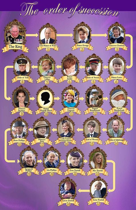 How Princess Eugenie's baby will push royals including Prince Edward down the line of succession Line Of Succession, Peter Phillips, Second Pregnancy, Princess Elizabeth, Duchess Of York, Princess Beatrice, Duke Of York, Princess Eugenie, British Monarchy