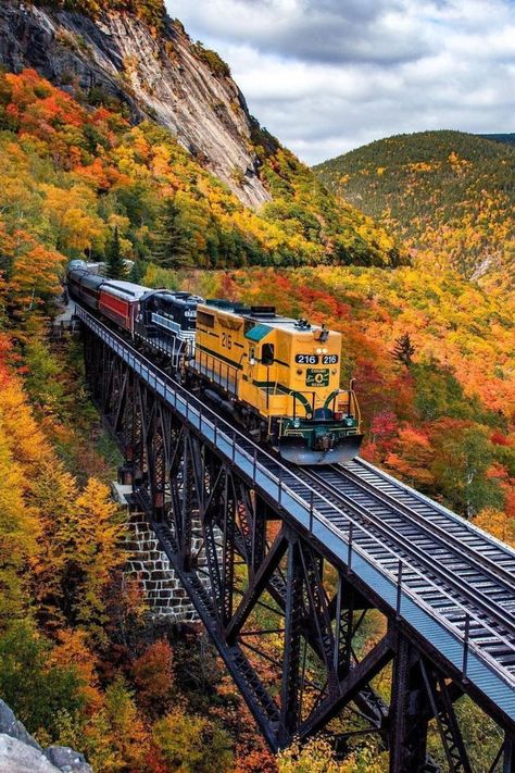 Scenic Train Rides, Scenic Railroads, Railroad Pictures, Scenic Road Trip, Railroad Photography, Railroad Photos, Train Photography, Old Trains, Planes Trains Automobiles