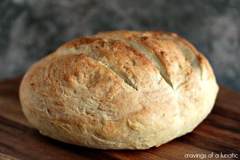 One Hour Bread Recipe | Cravings of a Lunatic | Crusty on the outside and soft on the inside. It will become a family favourite! 2 Hour Bread Recipe, Small Crusty Bread Recipe, Small Batch Crusty Bread, Hour Bread Recipe, One Hour Bread Recipe, One Hour Bread, Meltaway Cookies, Best Homemade Bread Recipe, Loaves Of Bread