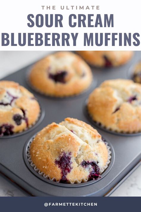 Jo Seagar Recipes, Sour Cream Muffin Recipes, Blueberry Muffins Sour Cream, Muffins Made With Sour Cream, Blueberry Muffins With Sour Cream, Small Muffins, Blueberry Sour Cream Muffins, Sour Cream Blueberry Muffins, Sour Cream Muffins