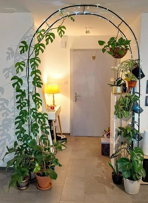 Indoor Plant Wall, نباتات منزلية, Plants Wall, Plant Care Houseplant, Hanging Plant Wall, Inside Plants, Plant Decor Indoor, Room Deco, House Plants Decor