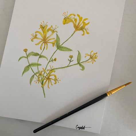 Minimalist Honeysuckle Tattoo, Watercolor Honeysuckle, Honeysuckle Painting, Honeysuckle Watercolor, Honeysuckle Tattoos, Mom Calendar, Painting Guitar, Honeysuckle Tattoo, Honeysuckle Plant