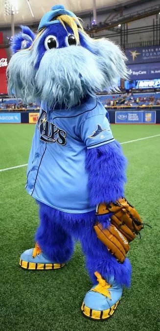 Tampa Bay Rays Outfit Ideas, Tampa Bay Rays Baseball, Rays Baseball, Baseball Stuff, Scenic Pictures, Team Mascots, Tampa Bay Lightning, Game Pictures, Tampa Bay Rays