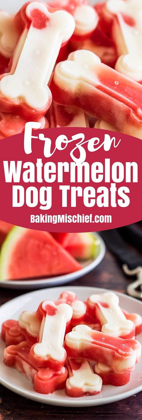 Make a big batch of these two-ingredient Watermelon and Yogurt Frozen Dog Treats to keep your pup cool this summer! Puppies Cutest, Yogurt Frozen, Dogs Treats, Frozen Dog Treats, Dog Biscuit Recipes, Easy Dog Treats, Frozen Watermelon, Frozen Dog, Dog Treats Homemade Recipes