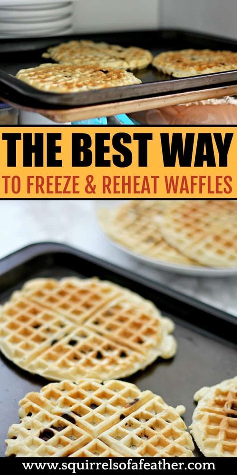 How To Freeze Waffles Homemade, Meal Prep Waffles, Waffle Meal Prep, Freeze Waffles, Chocolate Chip Waffles, Breakfast Hack, Freezing Food, How To Make Waffles, Frozen Waffles