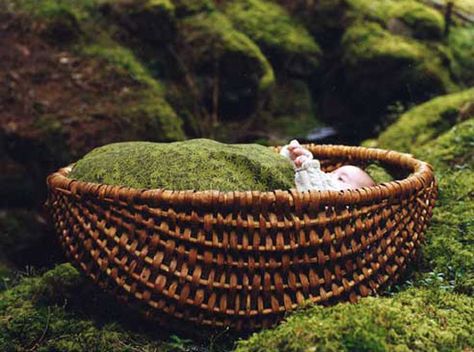 Cradle-basket with moss blanket, design by ulrika krynitz The Ancient Magus Bride, Green Travel, Young Life, Losing A Child, Disney Films, Enchanted Forest, Baby Bed, The Little Mermaid, Character Inspiration