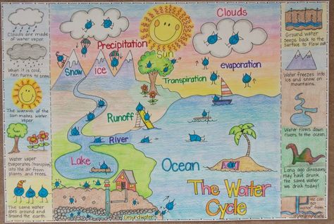 Water Cycle Project, Types Of Clouds, Grade 2 Science, Science Anchor Charts, Second Grade Science, The Water Cycle, Weather Unit, 4th Grade Science, 6th Grade Science