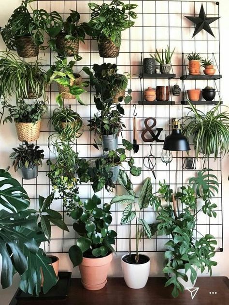 Modern living room idea with indoor planting an Awesome Living Room Decor Idea Plants On The Wall, Indoor Plant Wall, Plant Goals, نباتات منزلية, Plant Decor Indoor, Plant Aesthetic, House Plants Decor, Room With Plants, House Plants Indoor