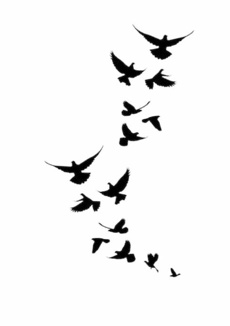 Tattoo Birds Flying, Flock Of Birds Tattoo, Birds Flying Tattoo, Tattoo Design Stencil, Tattoos Birds, Black Crow Tattoos, Crow Tattoos, Bird Silhouette Tattoos, Tattoo Birds