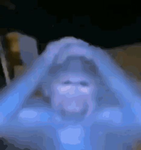 Monkey Confused GIF - Monkey Confused - Discover & Share GIFs Confused Gif, Monkey Gif, The Head, Animated Gif, Gif, On Twitter, Twitter