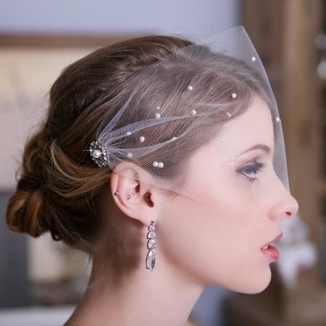 Birdcage Veil Hairstyle, Veil Birdcage, Bird Cage Veil, Beaded Bridal Veil, Birdcage Veil Wedding, Cage Veil, Bridal Birdcage Veils, Bridal Veils And Headpieces, Veil Crystal