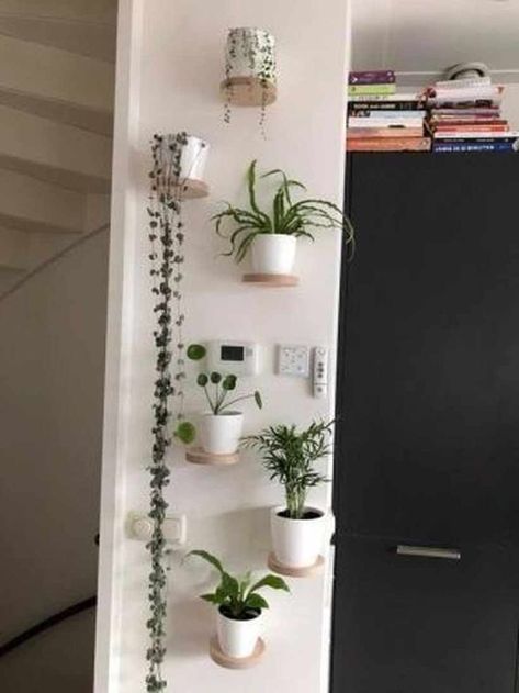 Vertical Wall Planter Pots, Vertical Wall Planters, Plant Decor Indoor, Planter Ideas, Small Apartment Decorating, House Plants Decor, Plant Shelves, Kitchen Decoration, Wall Planter