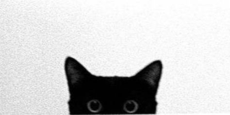 Tumblr Masterlist Header, Cat Cover Photo Facebook Aesthetic, Twitter Header And Profile Pic, Profile For Twitter, Cute Cat Header, Aesthetic Twitter Profile Pic, Black Cat Header, Google Profile Pics, Cat Header Twitter