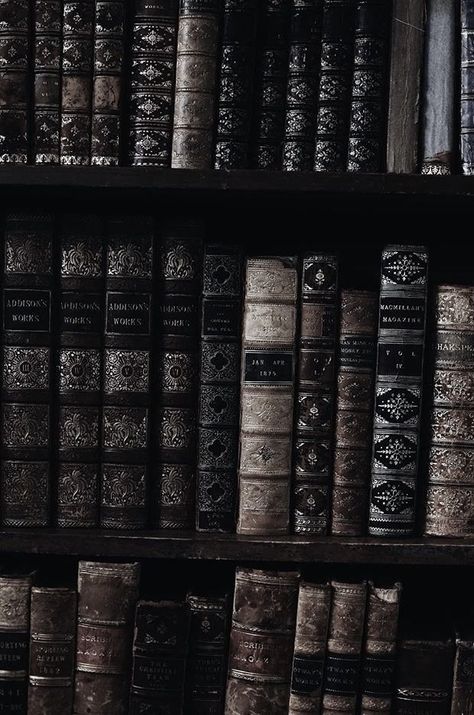 A Deadly Education Aesthetic, Zodiac Academy The Awakening, Dark Academia Black And White, Gothic Academia, Darkest Academia, Zodiac Academy, Dark Books, Library Aesthetic, The Awakening