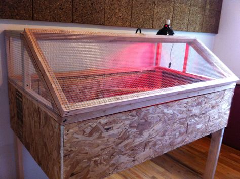 Raised Chicken Brooder, Chicken Brooder Box, Chick Brooder, Brooder Box, Chicken Brooder, Portable Chicken Coop, Chicken Pen, Coop Ideas, Chicken Cages