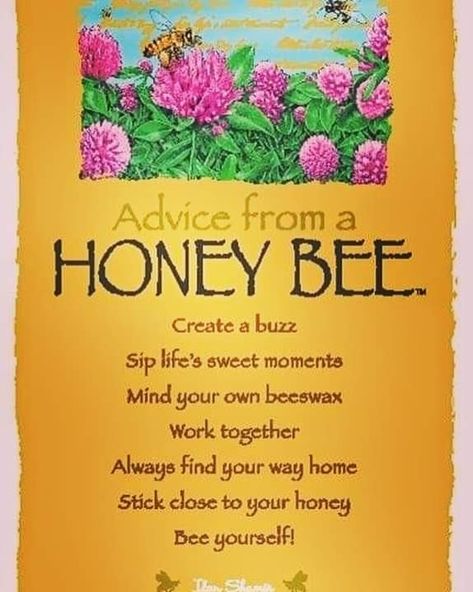 Quotes About Bees, Bee Quotes, I Love Bees, Dekor Diy, Life Quotes Love, Bee Decor, Bee Art, Advice Quotes, Animal Totems