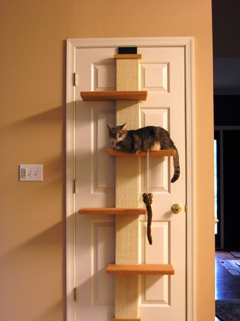 on the door cat tree; great space saver Over The Door Cat Tree, Door Hanging Cat Tree, Cat Diy Crafts, Spoiled Cats, Cat Bedroom, An Organized Home, Cool Cat Trees, Cat Patio, Diy Cat Tree