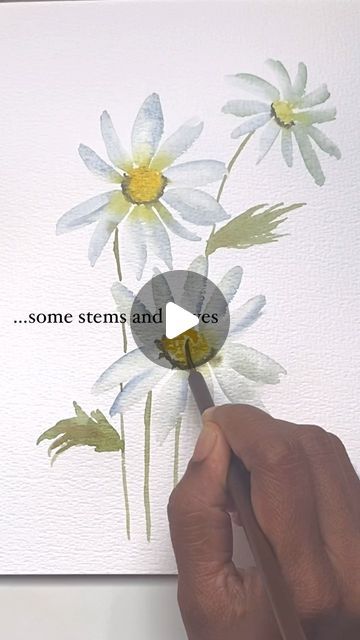 Paint Daisy, How To Paint White Flowers In Watercolor, How To Paint Daisy Flowers, Daisies Watercolor, Watercolor Daisy Tutorial, Watercolour Daisy, How To Paint Daisies, Watercolor White Flowers, Daisy Watercolor Painting