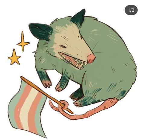 Possum Cute, Boy Gang, Goose Sticker, Awesome Possum, Swag Art, Lgbt Art, Creature Drawings, Non Binary, Little Garden