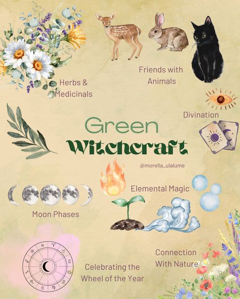 In our blog post we explore the world of green witchcraft,how to become a green witch yourself and master the spells, portion and  herbal knowledge of green magic Hedge Witchcraft, Green Witch Aesthetic, W.i.t.c.h Art, Witch Powers, Witch Board, Autumn Witch, Teen Witch, Green Witchcraft, Elemental Magic