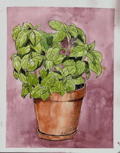 Houseplant Art, Watercolour Inspiration, Watercolor Sketchbook, Watercolor Flower Art, Still Life Drawing, Botanical Watercolor, Pen And Watercolor, Sketchbook Art Inspiration, A Drawing