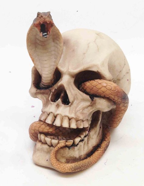 Snake Habitat, Gothic Graveyard, Skull Reference, Skull Statue, Cobra Snake, Octopus Tentacles, Rainbow Cat, Statue Sculpture, Cthulhu