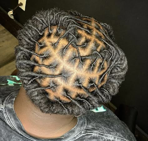 Black Loc Hairstyles, Stater Locs Hairstyles Short Hair, Stater Locs Hairstyles, Locs Hairstyles Short Hair, Outing Hairstyles, Loc Hairstyles Short, Short Dreads Styles, Locs Hairstyles Short, Short Dreads Styles For Women