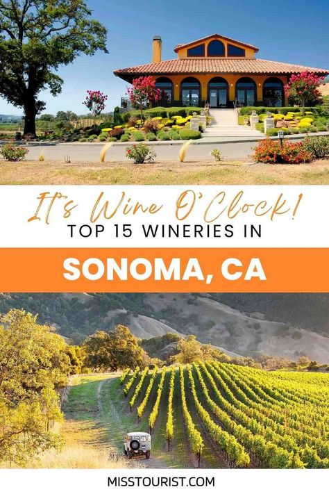 Sonoma Valley Itinerary, Sonoma Wine Tasting, Beautiful Wineries, Best Sonoma Wineries To Visit, California Wine Country Vacation, Best Wineries In Sonoma, Sonoma California Wineries, Sonoma Valley Wineries, Sonoma Wineries Map