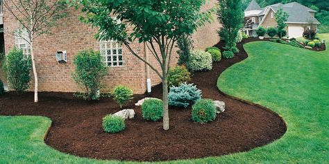 house landscaping Corner Landscaping, Lawn Alternatives, Yard Garden Design, Front Yard Landscape, Small Front Yard, Front Yard Design, Front Yard Garden Design, Front Yard Ideas, Front Landscaping