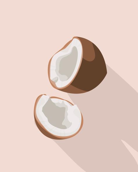 Fresh whole and a half coconut. Realistic vector illustration isolated on white background. Realistic Vector Illustration, Coconut Illustration Design, Coconut Illustration, Coconut Vector, Fruit Illustration, Virtual Art, Background Background, Environment Design, Summer Design