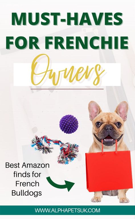 Frenchie Care Tips, French Bulldog Necessities, Frenchie Must Haves, French Bulldog Must Haves, French Bulldog Tips, French Bulldog Care Tips, French Bulldog Accessories, Frenchie Tips, Dog Names Unique