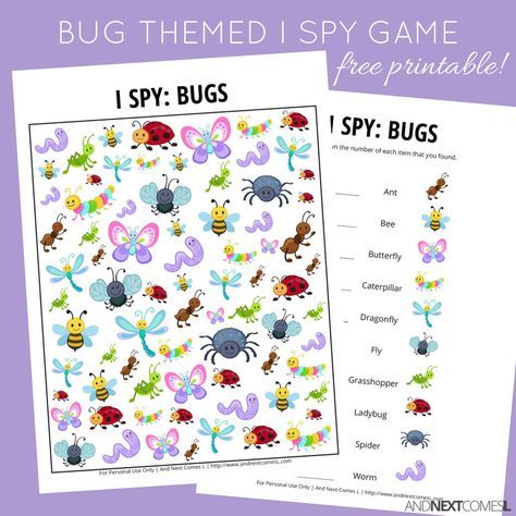 Codes And Ciphers, Spy Games For Kids, Bug Activities, Insects Preschool, Bugs Preschool, Insect Crafts, I Spy Games, Insects Theme, Spy Games