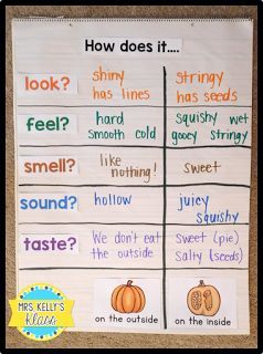 Explore 5 senses with the inside and outside of a pumpkin! Pumpkin Lesson Plans, Pumpkin Investigation, Pumpkin Lessons, Pumpkins Preschool, Pumpkins Kindergarten, Pumpkin Science, Fall Lesson Plans, Preschool Fall, Prek Classroom